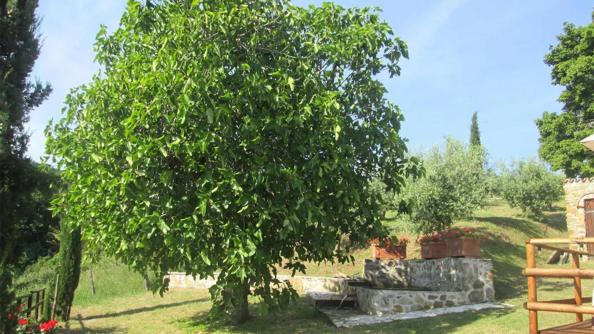 Nice Home In Castelnuovo Val Di Cec Castelnuovo di Val di Cecina Italy